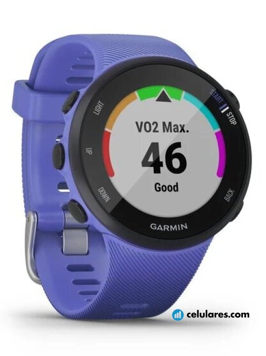 Imagen 2 Garmin Forerunner 45S