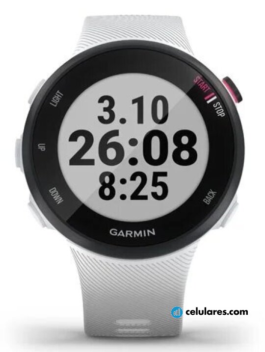 Imagen 5 Garmin Forerunner 45S