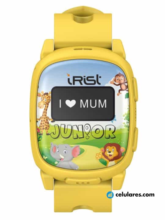 intex irist junior
