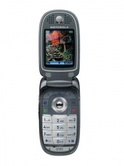 Motorola V191