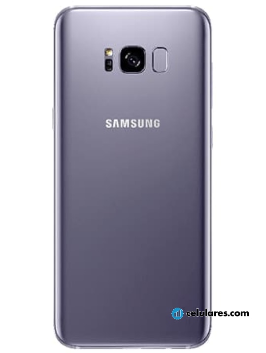Imagen 7 Samsung Galaxy S8+