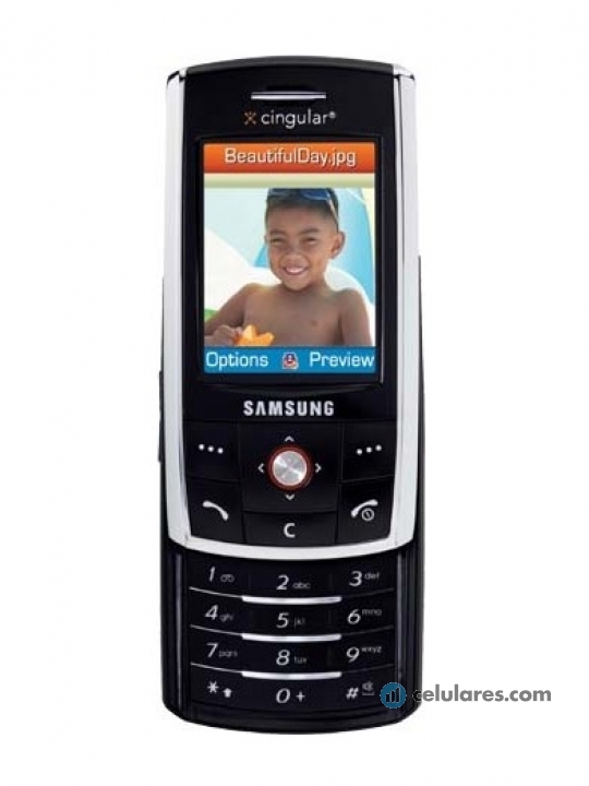 Samsung SGH-D807