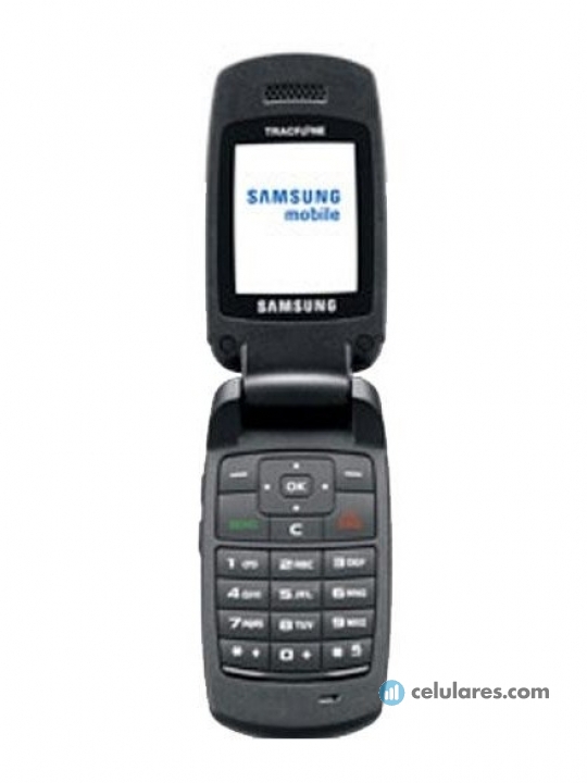 Samsung SGH-T201G