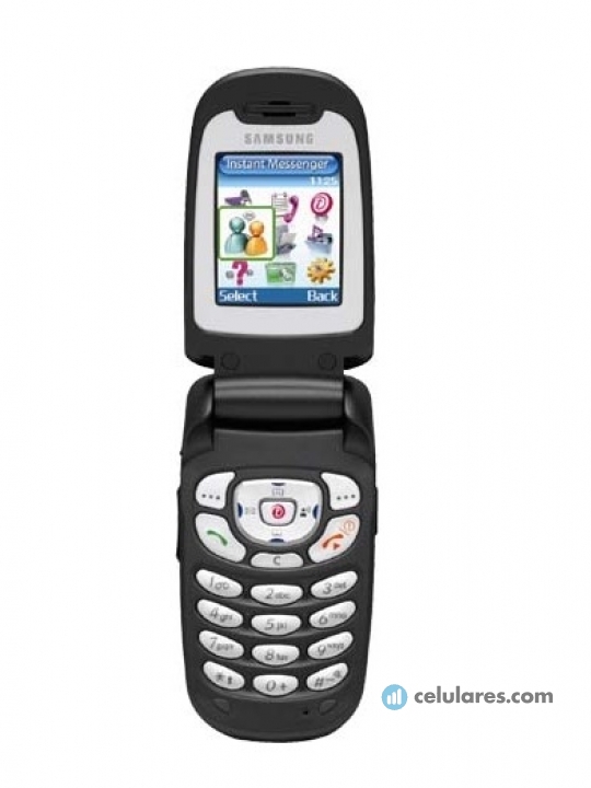 Samsung SGH-T309