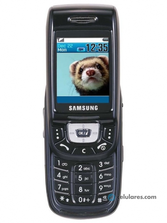 Samsung SGH-D500