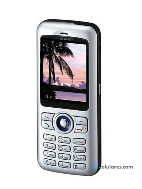 Sharp GZ100