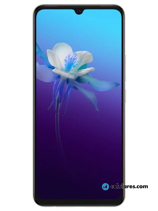 Vivo V20 2021